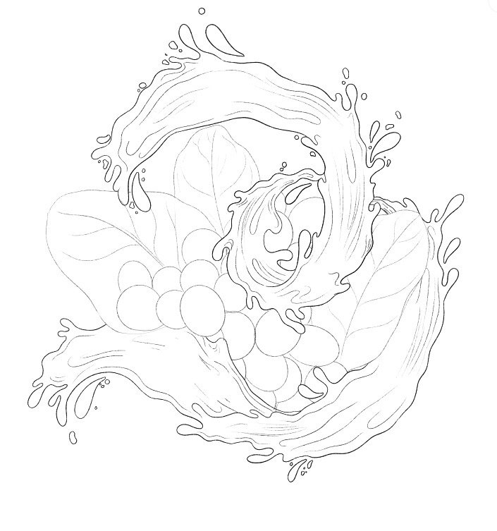 Blended Naturals_Design de embalagens_Aupe Design 06