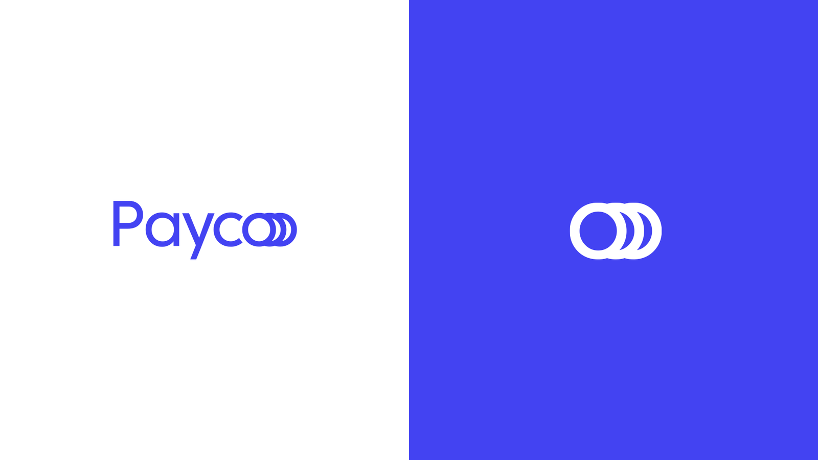 Payco_Identidade Visual_Aupe Design_05