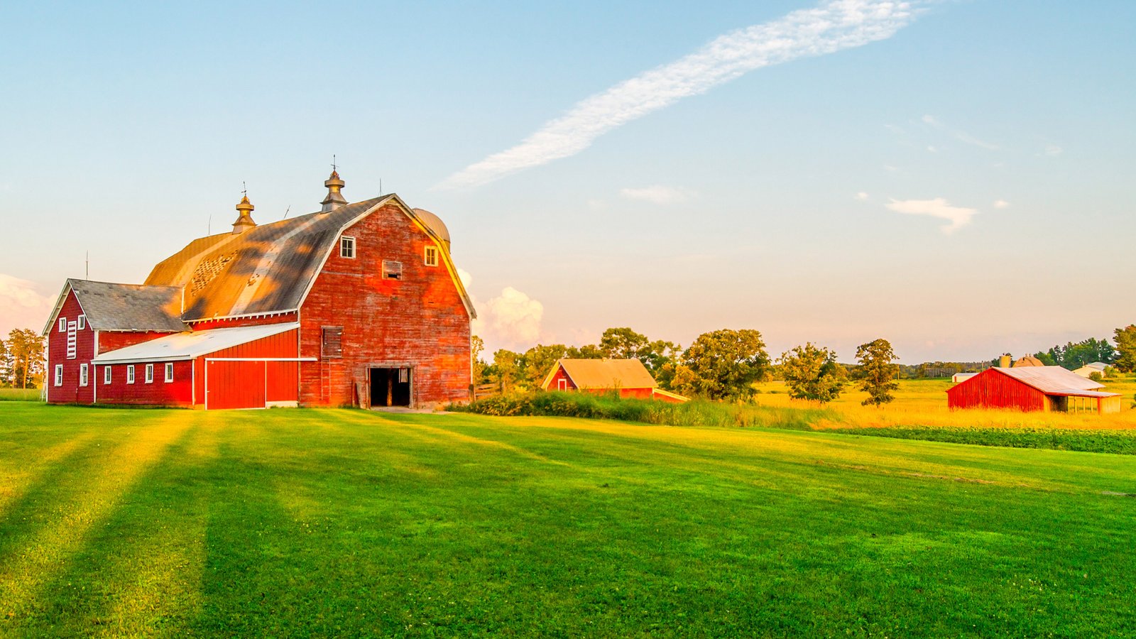 Peace Farm_Design de embalagem_Aupe Design_02