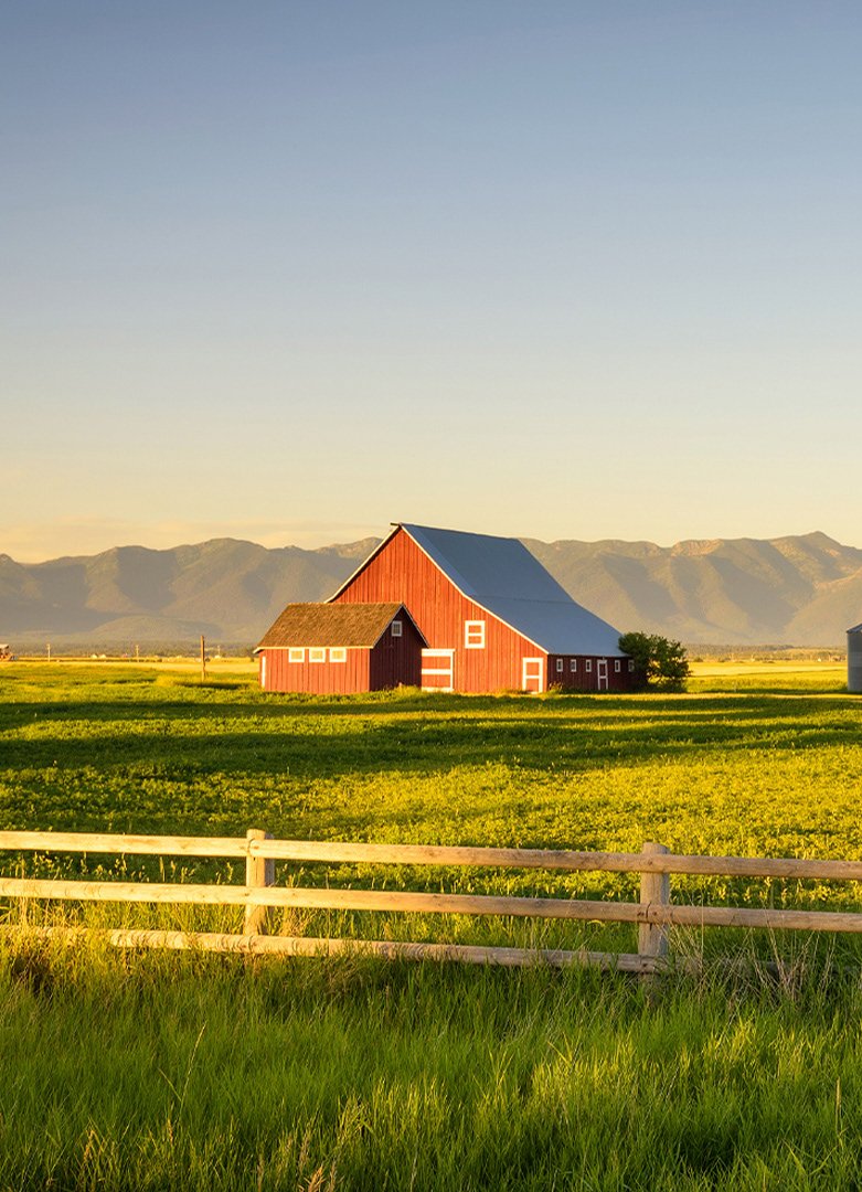 Peace Farm_Design de embalagem_Aupe Design_07